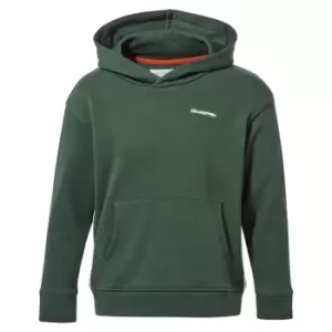 Image of Craghoppers Boys NosiLife Baylor Hooded Sweater Hoodie 11-12 Years - Chest 29.5-31 (75-79cm)
