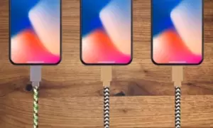 Image of Nylon Braided Cables with Lightning Connector: One/3M/Tiger