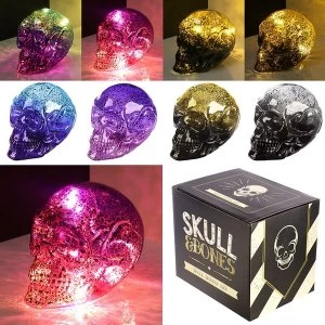 Image of Small Two Tone Metallic Skull Decorative LED Light (1 Random Supplied)