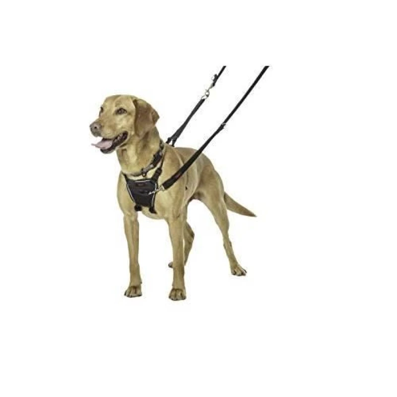 Image of Company of Animals Halti No Pull Harness Size Medium, Professional Dog Harness To Stop Pulling On The Lead