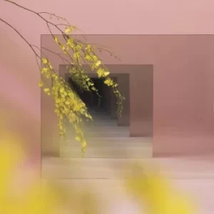 Image of Orients by Witxes Vinyl Album