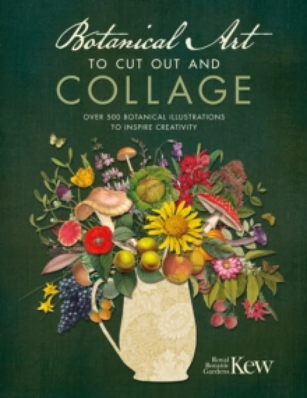 Image of Botanical Art to Cut out and Collage : Over 500 Botanical Illustrations to Inspire Creativity Paperback / softback