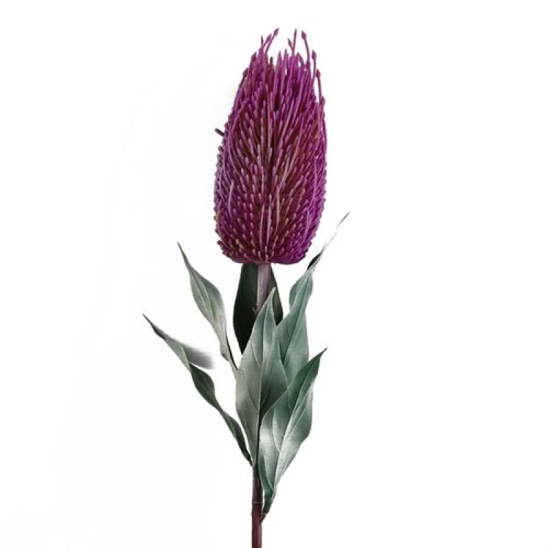 Image of Leaf 75cm Banksia Menziesii Pink Flower Stem Artificial