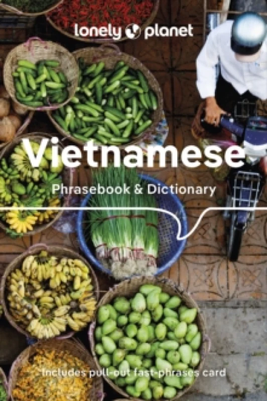 Image of Lonely Planet Vietnamese Phrasebook & Dictionary Paperback / softback