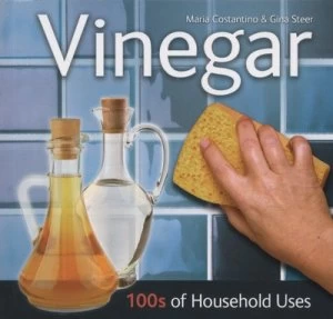 Image of Vinegar by Maria Costantino Paperback
