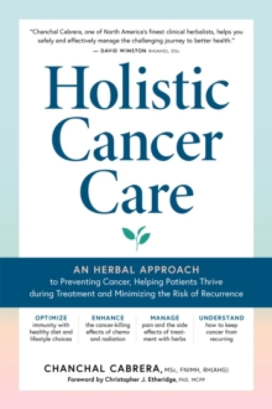 Image of Holistic Cancer Care : An Herbal Approach to Reducing Cancer Risk, Helping Patients Thrive during Treatment, and Minimizing Recurrence Paperback / sof