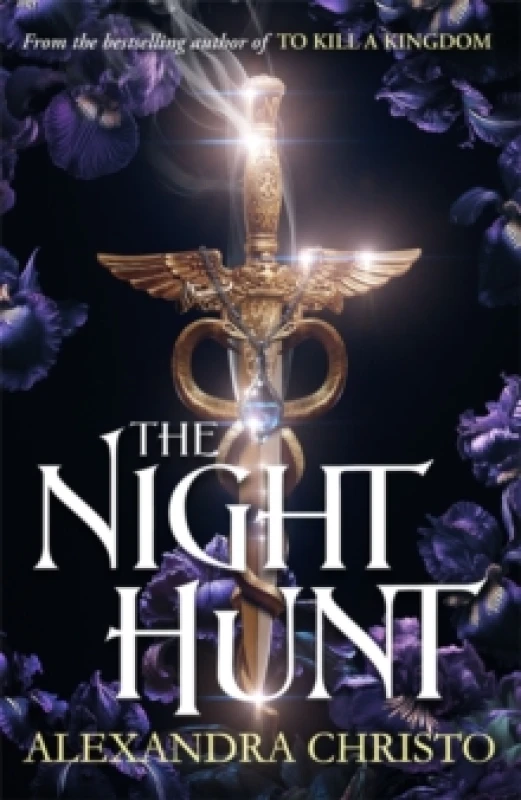 Image of The Night Hunt Paperback / softback