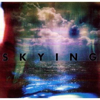 Image of The Horrors - Skying Vinyl