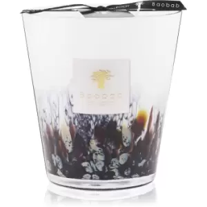 Image of Baobab Collection Rainforest Tanjung Scented Candle 16cm