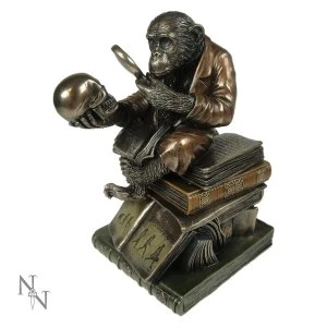 Image of Darwinism of Evolutionary Theory Monkey Figurine