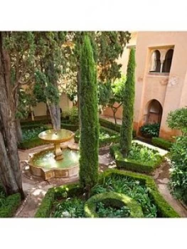 Image of Pair Of Italian Cypress Trees 1.2-1.4M Tall