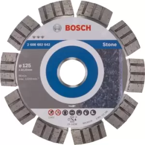 Image of Bosch 2608602642 125x22.23mm DIAMOND DISC BEST STONE HPP