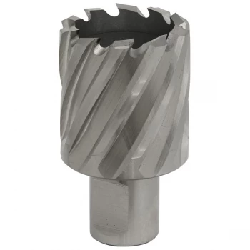 Image of Worksafe RBHSS35S Rotabor Cutter HSS Ø35mm - Cut Depth 25mm