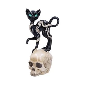 Image of Feline Fate Light Up Skull and Cat Figurine