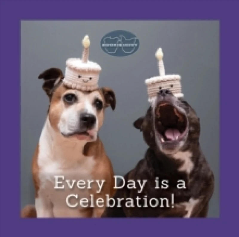 Image of Sookie and Ivy Every Day Is a Celebration Hardback