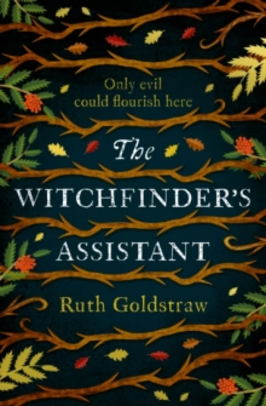 Image of The Witchfinders Assistant Paperback / softback