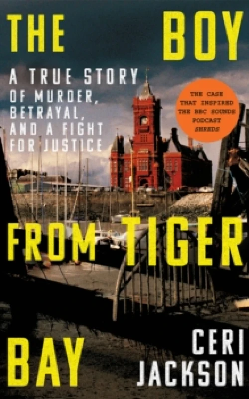 Image of The Boy from Tiger Bay : A True Story of Murder, Betrayal, and a Fight for Justice Paperback / softback