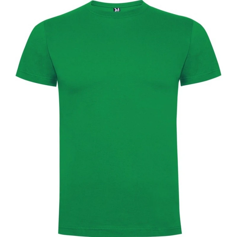 Image of ROLY ROLY Men Dogo Premium T-Shirt in Pale Green Size: Small Pale Green S Male 5063574582889