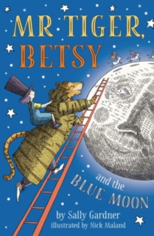 Image of Sally Gardner Mr Tiger, Betsy and the Blue Moon Book Multi unisex