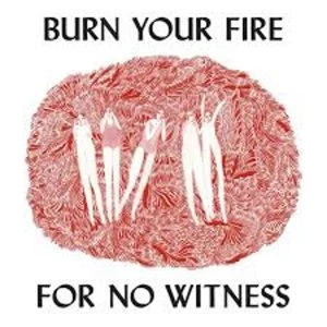 Image of Angel Olsen - Burn Your Fire For No Witness Vinyl