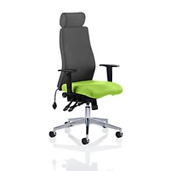 Image of Dynamic Independent Seat & Back Posture Chair Height Adjustable Arms Onyx Ergo Myrrh Green Seat With Headrest High Back