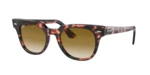 Image of Ray-Ban Sunglasses RB2168 Meteor 133451