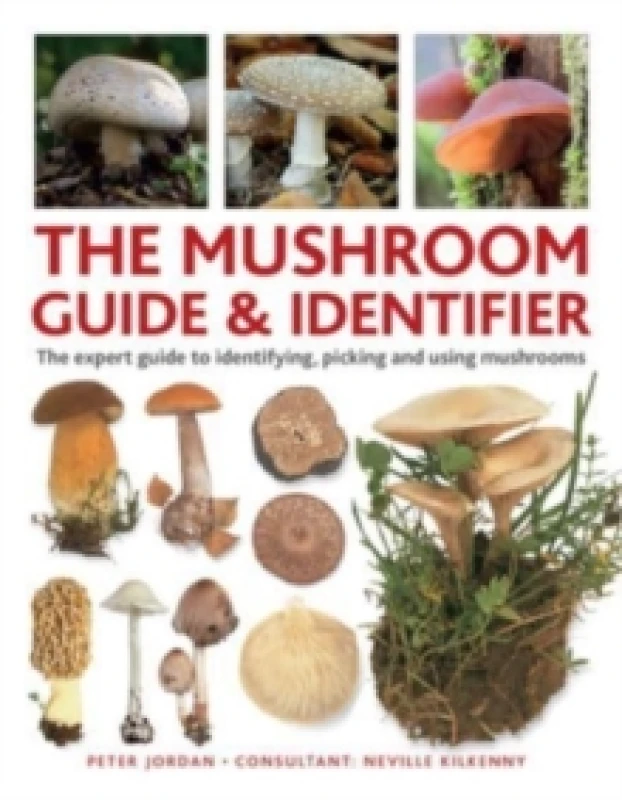 Image of The Mushroom Guide & Identifier. WBT. By Peter Jordan Books