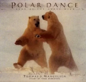 Image of polar dance born of the north wind