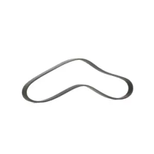 Image of DAYCO V-ribbed belt 6PK1025 Serpentine belt,Auxiliary belt