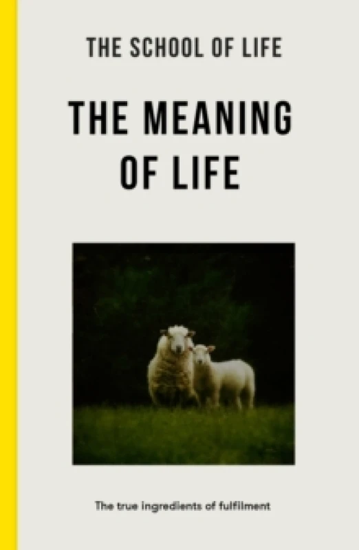 Image of The Meaning of Life : the true ingredients of fulfilment Paperback / softback