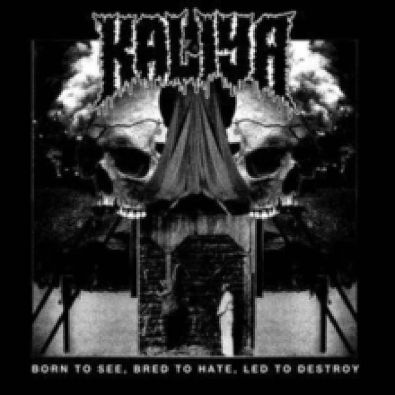 Image of Born to see, bred to hate, LED to destroy CD / Album