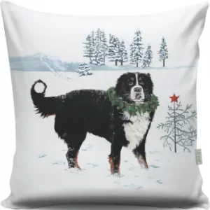 Image of A12998 Multicolor Cushion