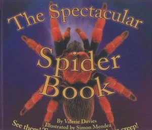 Image of The Spectacular Spider Book by Valerie Davies and Simon Mendez Hardback
