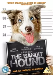 Image of The Bandit Hound
