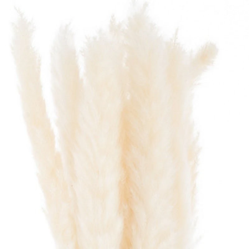 Image of Hill Interiors Mini White Pampas Grass Bunch Of 15