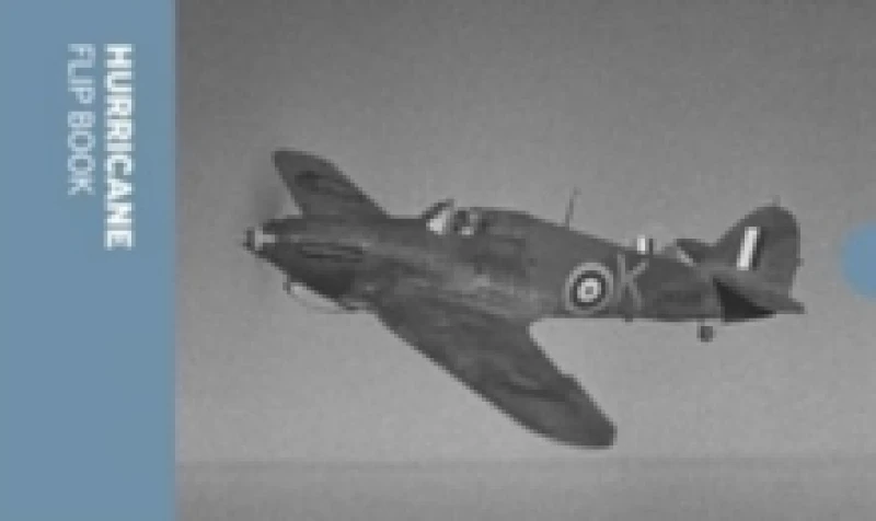 Image of Hurricane Flip Book Paperback / softback