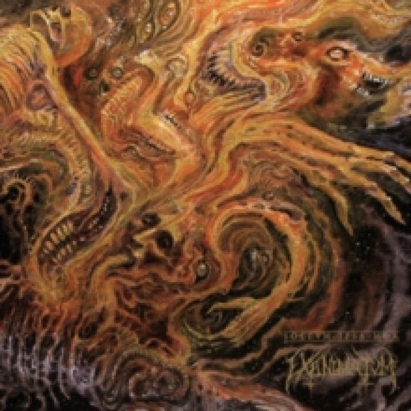 Image of Sollvm Ipsa Mor Vinyl