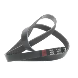Image of RIDEX V-ribbed belt 305P0219 Serpentine belt,Auxiliary belt RENAULT,HONDA,LAND ROVER,ESPACE IV (JK0/1_),FR-V (BE),STREAM (RN),Discovery II (L318)