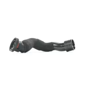 Image of RIDEX Crankcase Breather 1600H16000025 Crankcase Ventilation,Hose, crankcase breather VW,AUDI,SKODA,Golf IV Schragheck (1J1),Golf IV Variant (1J5)