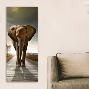 Image of DKY260414424_50120 Multicolor Decorative Canvas Painting