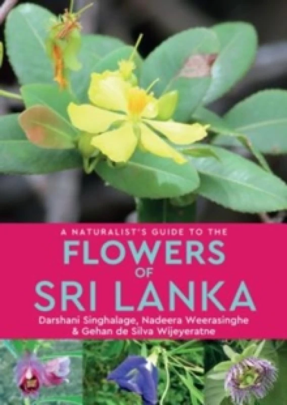 Image of A Naturalists Guide to the Flowers of Sri Lanka Paperback / softback