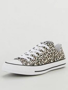 Image of Converse Chuck Taylor All Star Canvas Printed Ox - Animal Print