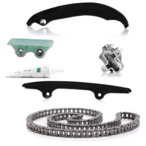 Image of INA Timing Chain Kit 559 0193 10 FORD,FIAT,PEUGEOT,TRANSIT MK-7 Kasten,TRANSIT MK-7 Bus,Tourneo Custom V362 Bus (F3)