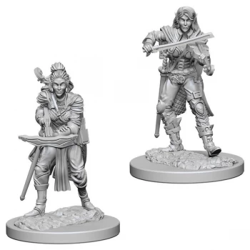 Image of Pathfinder Deep Cuts Unpainted Miniatures (W4) Elf Female Bard