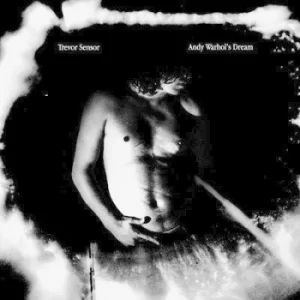 Image of Andy Warhols Dream by Trevor Sensor CD Album