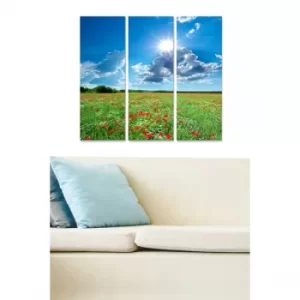 Image of MDF97333907 Multicolor Decorative MDF Painting (3 Pieces)