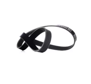 Image of RIDEX V-ribbed belt VW,AUDI,BMW 305P0425 55193366,551933660,04E145933AL Serpentine belt,Auxiliary belt,Poly V-belt,Ribbed belt,Multi V-belt,Poly belt