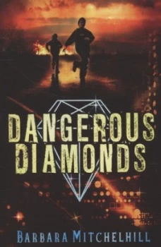 Image of Dangerous Diamonds by Barbara Mitchelhill Book