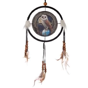 Image of Decorative Magical Barn Owl 16cm Dreamcatcher