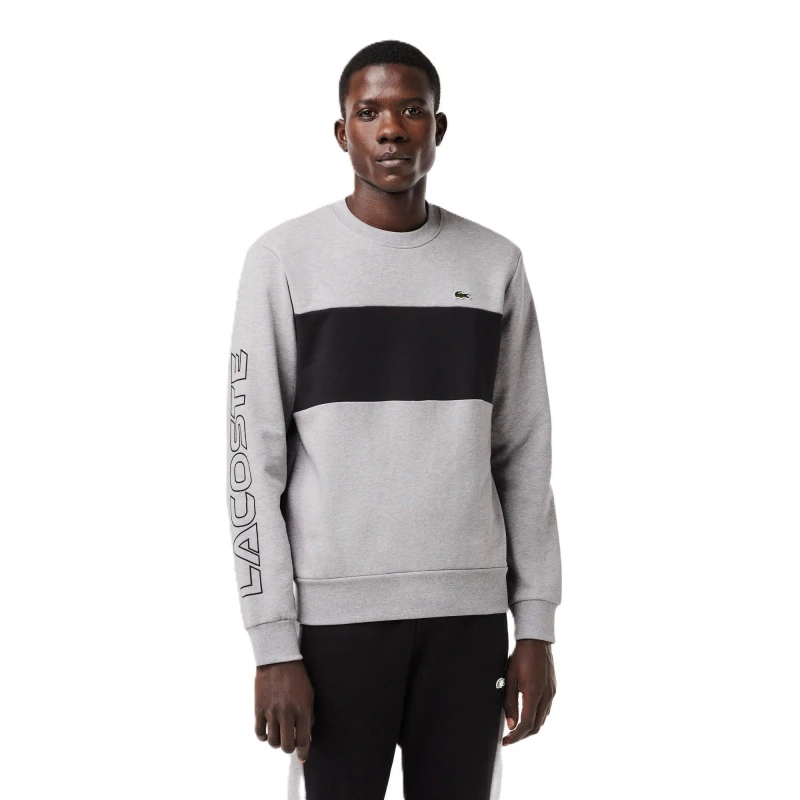 Image of Lacoste Mens Colour Block Crew Neck Jumper Silver/Black male XS